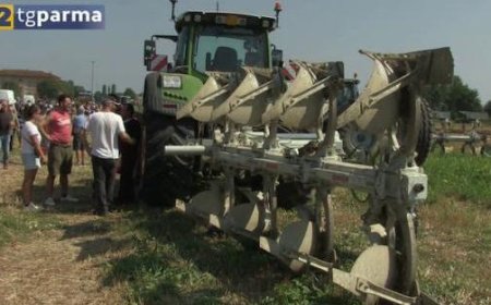 Trecasali Hosts Motor Mowing Competition Organized by Confagricoltura Parma – Watch the Video