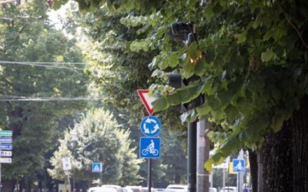 Die Gemeinde: “Beginn der Beschneidung von 1051 Pflanzen”