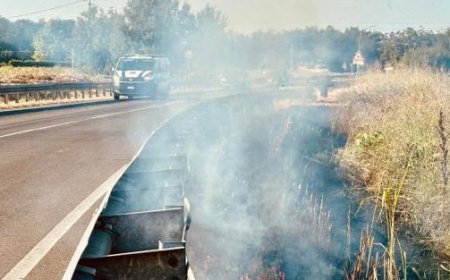 Große Angst in Busseto: Brand an der Umgehungsstraße