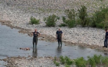 Leiche im Taro gefunden: Kleidung gefaltet und Handy am Ufer zurückgelassen. Und dieser Busch für Treffen.