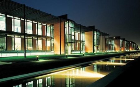 Lav: Max Mara wird pelzfrei