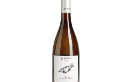 Découvrez le Tenuta La Ponca Collio Sauvignon 2022 dans les nouvelles !