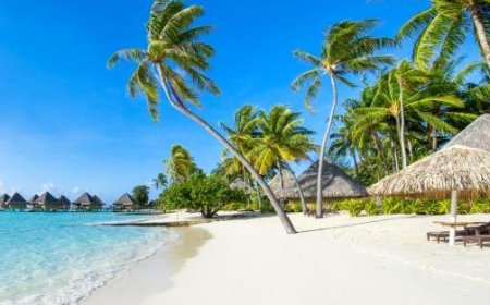 Urlaub steht bevor: Grünes Reisen im Trend