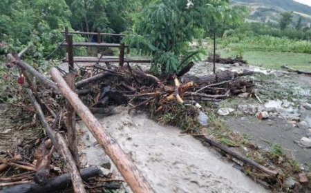 Tempête à la fin de juin : le Conseil des Ministres reconnaît l’état d’urgence pour Parme et cinq autres provinces