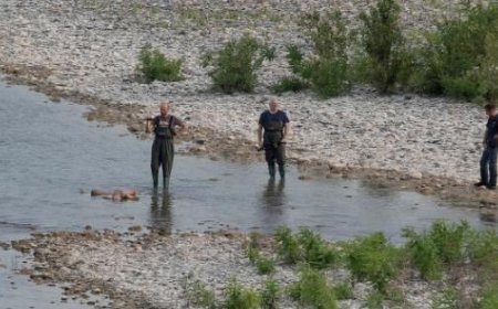 Décès dans le Taro : début de l’autopsie sur le corps du jeune homme de 27 ans