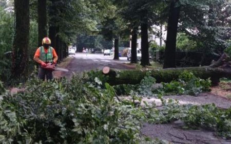 Schwere Schäden und Straßensperrungen in der Bassa – Fotos
