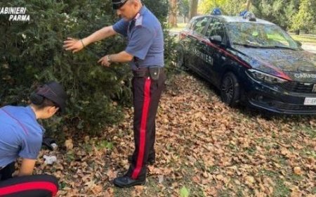 Poursuite des contrôles antidrogue au parc Ducale. 70 grammes de haschich saisis, 3 personnes signalées
