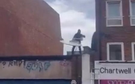 Un nouvel animal apparaît dans le “safari” de Banksy à Londres : mais il est immédiatement volé – Vidéo