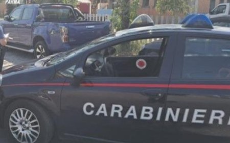 Un homme nu au volant d’un camion volé : arrêté sur l’Asolana et accusé