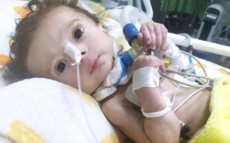 Morgen wird der Junge aus Gaza, Seifeddin, in Parma beerdigt: Er ist ein Symbol für Frieden