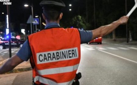 Betrunkener 35-jähriger Parmesankäse entkommt Polizei und sorgt für Panik in der Stadt: Angezeigt