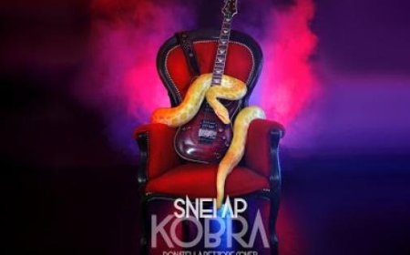 Neue Musik: Cover-Band “Kobra” mit 5 Boas und trainierten Kobras – Video