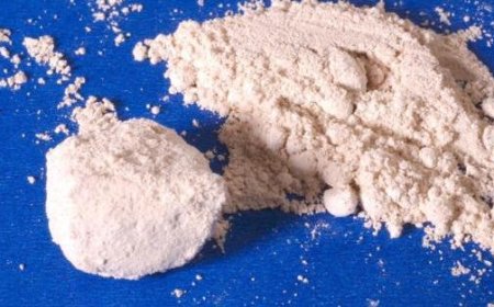 Importante saisie de 148 kilos de cocaïne dans le port de Livourne, 3 arrestations