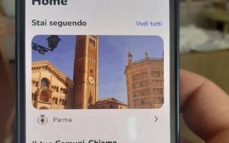 Holes, déchets, décoration : 8 700 signalements en six mois avec l’application Comuni-Chiamo