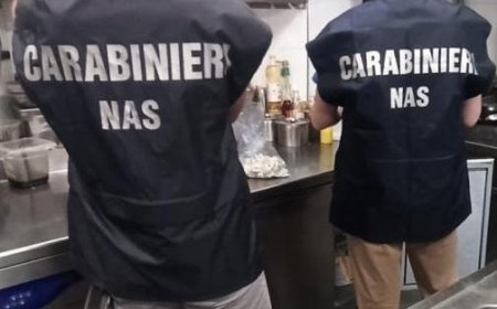 Kakerlaken und “antiker” Schmutz: Das Nas schließt eine Bar im Zentrum. Eine Geldstrafe von 3.000 Euro für den Besitzer