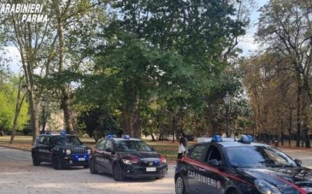 Drogenspürhund Taxi findet 270 Gramm Haschisch in Verstecken des Ducale-Parks
