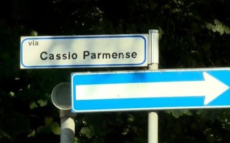Deux tragédies sans réponses : la petite fille décédée dans un appartement de via Cassio Parmense et le corps du nouveau-né – Vidéo