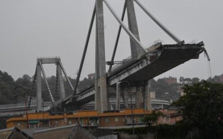 Genève se souvient du massacre du Pont Morandi avec 43 roses – Photo