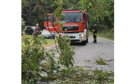 Des vents forts et de fortes pluies à Salsomaggiore, un arbre tombe sur la route à San Vittore – Photo