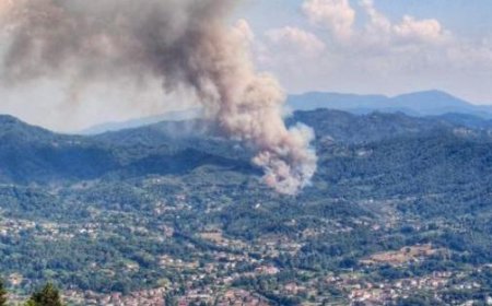 Feuer auf den Hügeln von Versilia. Bürgermeister von Camaiore: “Wir sind in Alarmbereitschaft” – Foto- und Videoaufnahmen