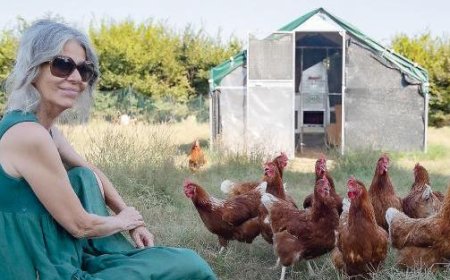 «De Miami à Parme, ma nouvelle vie à la campagne avec 240 poules»