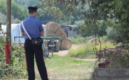 Un homme âgé écrasé et tué par un tracteur conduit par son fils