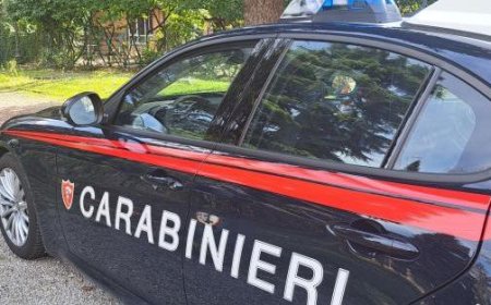 Männer aus Parma und Verona werden als Diesel-Diebe gemeldet