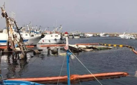 Sturm auf See: Segelboot vor Palermo gesunken – 7 Vermisste, 15 Gerettete