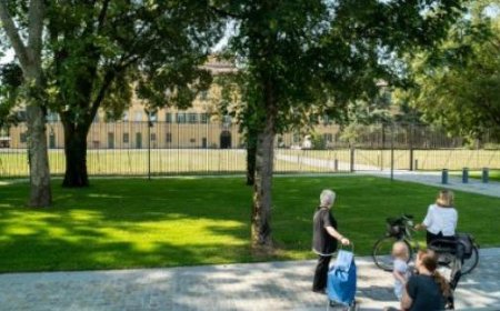 Arrivée de 115 nouveaux arbres de la Via Picasso au Viale Maria Luigia : découvrez toutes les rues concernées