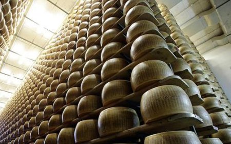 Croissance de l’exportation des districts : Parma en hausse avec l’alimentaire et l’implantation alimentaire