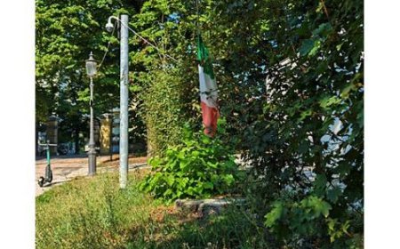 Une photo d’un lecteur au Parco Ducale : “Pauvre drapeau…”