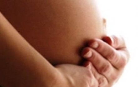Over 74% of eligible mothers have applied for the motherhood bonus in the first 5 months