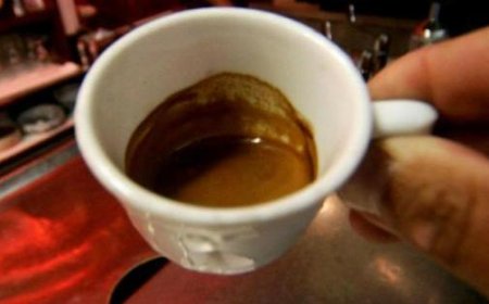 Scocchia (Illycaffè) : La tasse de café au bar pourrait atteindre 2 euros