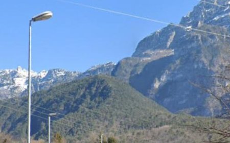 Tragique accident dans la forêt : un homme meurt après une chute le long d’une pente