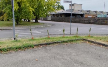 Un bel exemple de citoyenneté active: Deux citoyens se proposent pour prendre soin de deux espaces verts et la commune conclut un accord
