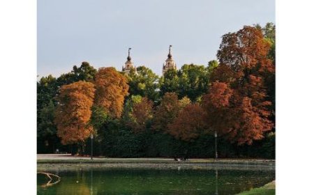 Les ippocastani du Parco Ducale touchés par une maladie, ce n’est pas l’automne