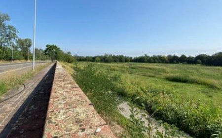 Les victimes du Covid n’ont toujours pas de “Bosco della Memoria”