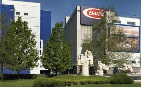 Barilla: 100.000 Tonnen italienische Tomaten werden zu Saucen