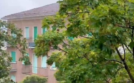 Tempête de vent et orages dispersés dans toute la province, de Bassa, Salso à Felino où il a grêlé – Vidéo et Photos