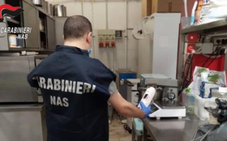 Gelateria cauchemardesque : laboratoire sale et toiles d’araignée. Et plusieurs irrégularités. Amende de 3000 euros au propriétaire