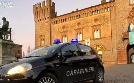 Des adolescents entre 13 et 15 ans ont vandalisé de nombreux bâtiments à Busseto tout l’été. 5 garçons de la région signalés