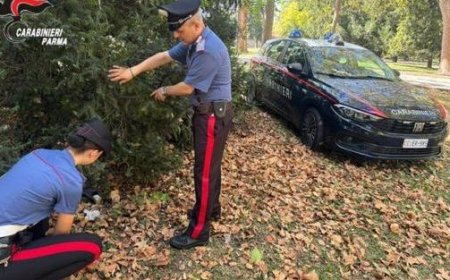Contrôles renforcés au parc Ducale de Parme: 4 plaintes et signalements de jeunes à la préfecture
