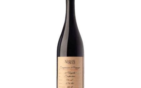 “Power aus dem Sangiovese Nespoli in Romagna Superior Prugneto ’23” – Neuer Wein vorgestellt