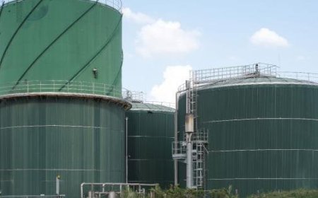 Biomethan: Socogas eröffnet Anlage in der Bassa