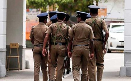 Père et fils de Modène arrêtés pour avoir volé des papillons au Sri Lanka