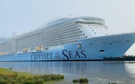 Weltumrundungskreuzfahrtschiff seit 3 Monaten in Belfast gestrandet, Passagiere festsitzend