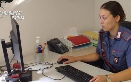 Un homme de 43 ans de Felina perd 300 euros en demandant un financement auprès d’un faux agent bancaire, une femme signalée pour fraude