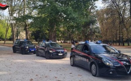 Les contrôles se poursuivent au Parc Ducal et dans toute la ville : des plaintes et des signalements à la Préfecture