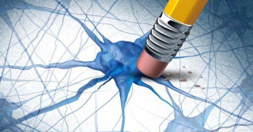 Fischölpräparate (Omega-3) hemmen Hirnschäden bei Personen mit Alzheimer-Risiko