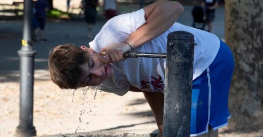 Hitzewelle: Gestern erreichten wir 37,6 Grad. Höchster Andrang in der Notaufnahme
